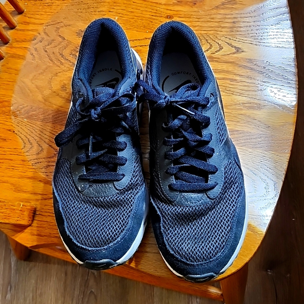 Mens Nike Air Max sneakers